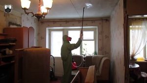 Что делать если после дезинсекции тараканы не исчезли?