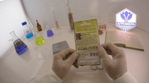 Вьюнок трехцветный Канкан.  Гавриш