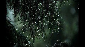 Olafur Arnalds - Ágúst Rain「1 Hour 」♫ - Relaxing Neo Classical