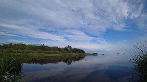 дропшот на минималках. Чёрная речка. Уклейка, елец, плотва.