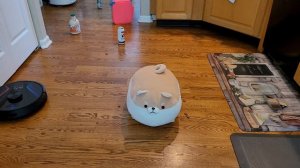 Eufy RoboVac X8 - Twin Turbo Robot Vacuum!!!