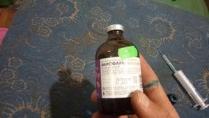 Прокалываем железо поросятам! Сколько колю и какое использую. Кормлю порося из соски.