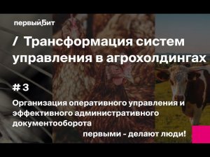 Часть 3: Организация оперативного управления и документооборота на примере внедрения в агрохолдинге