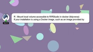 R : Mount local volume accessible to R/RStudio in docker (tidyverse)