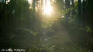 Мантра на решение проблем
