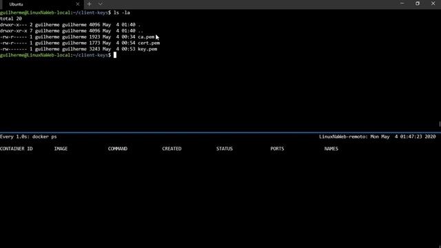Liberando acesso remoto ao Docker (API) - 02