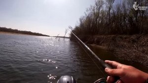 МУЖИКИ, ПО 50 БУДЕТЕ? Ловим судака в КОРЯГАХ. Астрахань, Нижняя Волга, Золотой Судак, 1 тур