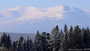 Всеволодо Благодатское. Деревня в Феврале. GoPro 11 в солнечный день