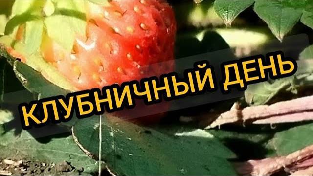 Начало стройки. 11-12 июня 2024