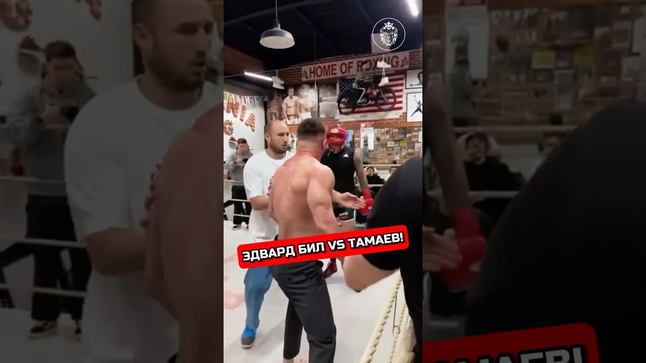 ТАМАЕВ VS ЭДВАРД БИЛ #тамаев #кулачка #бокс #никулин #boxing #конфликт #хардкор #хайп #hype