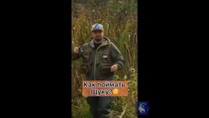 Как поймать щуку. #Shorts