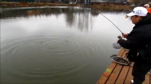 платная рыбалка в ПИРОГОВО - Коргашино