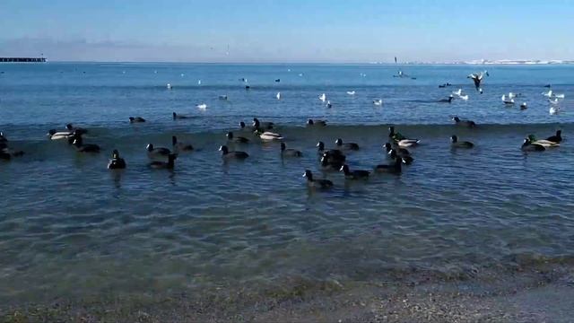 Лермонтовская тропа, Анапа смотреть онлайн