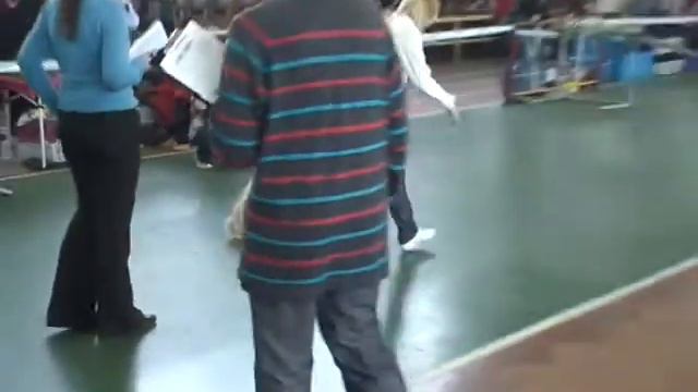 Ципка Чемпион РКФ, ЛПП смотреть онлайн