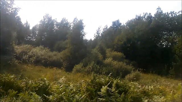 Крайние точки Беларуси. Часть 2 - "Восток". смотреть онлайн