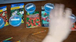 Выращивание земляники и клубники из семян. Земляника Руяна\Александрина\Али-Баба. Клубника Флориана