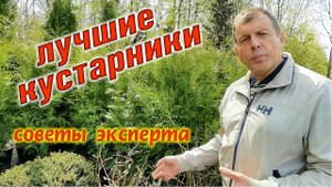 Тайны выбора кустарников для сада, как выбрать растения.