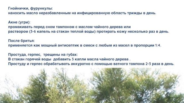 Масло чайного дерева и как его используют в Австралии в домашних условиях смотреть онлайн