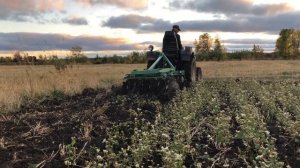 ДИСКОВАЯ борона BOMET.Дискуем гречку. Готовимся к посеву озимых.