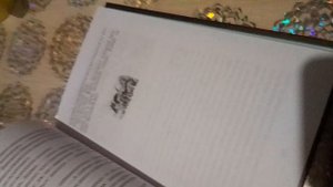 обзор на книжку коты-воители