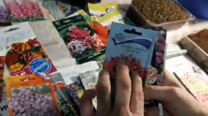 Какие ЦВЕТЫ ПОСЕЯТЬ В ФЕВРАЛЕ ОБЯЗАТЕЛЬНО?САМЫЕ НЕПРИХОТЛИВЫЕ ЦВЕТЫ что сажать.mp4