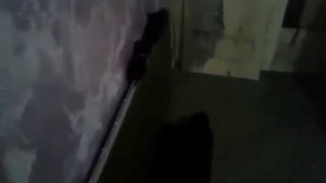 Отзыв | Керамические энергосберегающие обогреватели