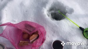 Окунь! Искусственный Мотыль!!!