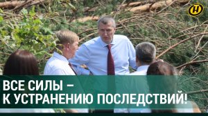 "НЕТ ВОДЫ, СВЕТА, КРЫШУ СНЕСЛО!" Как ПОСЛЕДСТВИЯ ЖУТКОГО УРАГАНА устраняют по поручению Лукашенко?