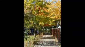 Рыбница - город, в котором я живу