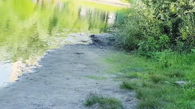 Наташинские пруд Люберцы смотреть онлайн