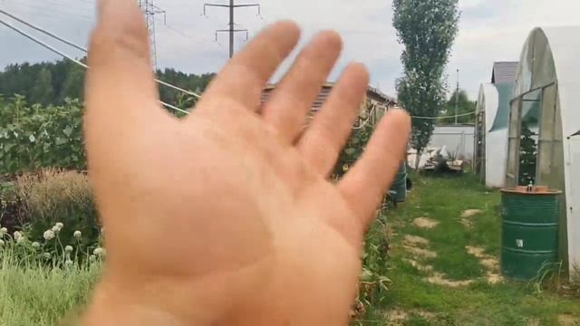 Иван да Наталья! Давайте жить дружно! Или, мойте руки после работы на огороде! смотреть онлайн