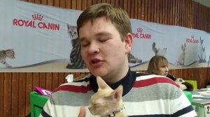 Девон-рекс - рассказ заводчика