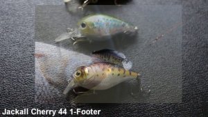 Лучшие воблеры для ловли голавля и язя. ТОП сезон 2017 (часть 3)