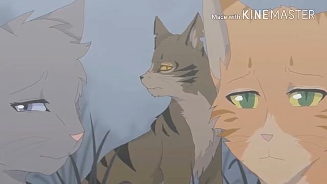 Коты воители  Крутобок и Серебрянка ,, Люби меня,,
