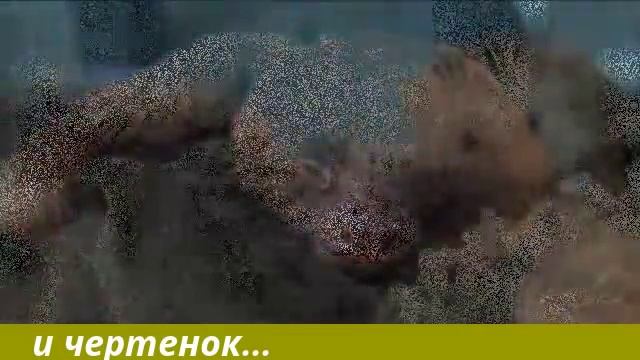 Все любят ласку[совенок чертенок котенок] смотреть онлайн