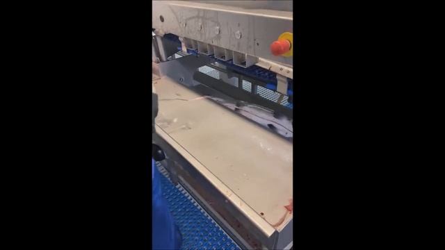 Сортировка рыбы при помощи линейного грейдера Marel на 12 градаций