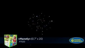 P7020 0,7”х 20