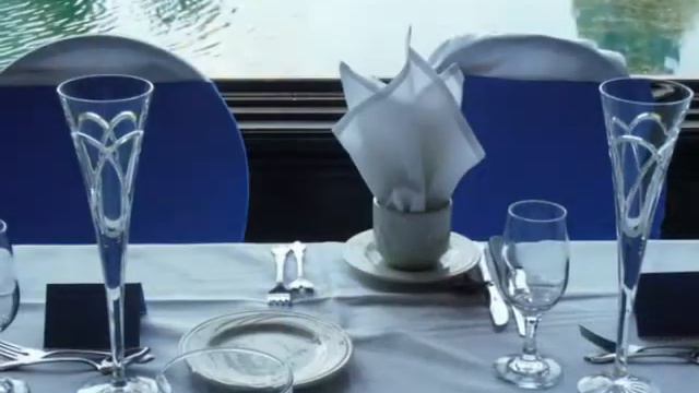 Best Reception Views in Chicago Suburbs смотреть онлайн