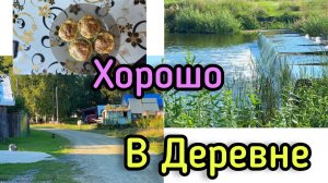 Новый день в деревне .Ездили в Тогучин . Заготавливаю на зиму огурцы .
