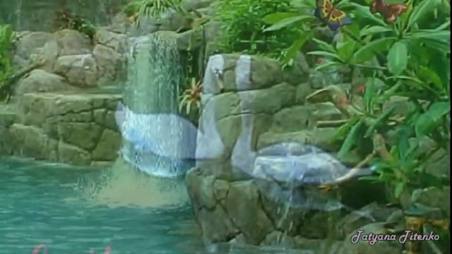 Белая Лебедь --подруга Весны Ann Annie music смотреть онлайн