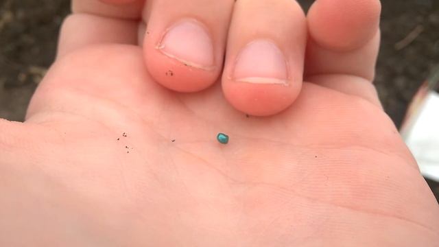 9апреля посев капусты на рассаду в теплице смотреть онлайн