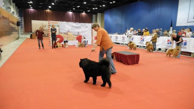 СРАВНЕНИЕ на ЛПП смотреть онлайн