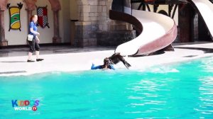 Marineland Canada Tour - Marine Animal Show and Attractions