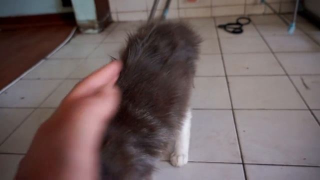 Sony A3500 ( ILCE 3500J ) Inside Day - Interior Dia - Video Test 1080p смотреть онлайн