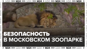 Меры безопасности в московском зоопарке — Москва24|Контент
