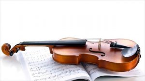 Musical Instruments Violin