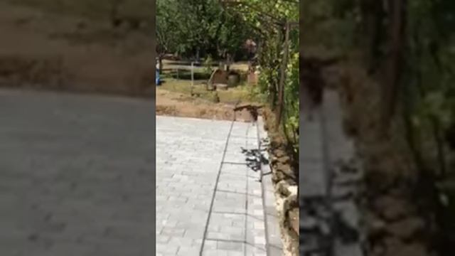 РАМИЛЕР СТРОЙ ООД ШУМЕН ТЕЛ 0893775466 смотреть онлайн