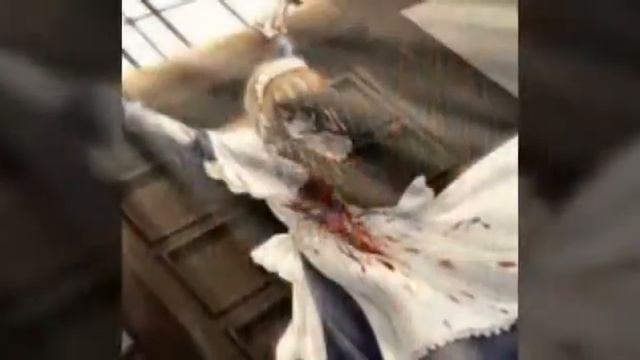 АнИмЕ ЯнДеР сИмУлЯтОр!?😑😍😍😍😍😍😎😎😎 смотреть онлайн