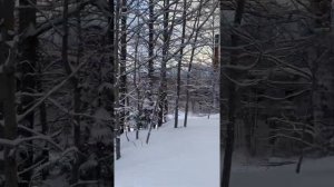 Водопад-порог Леппякоски, посёлок Харлу Республика Карелия