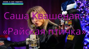 Саша Квашеная - Райская птичка @kvashenaya #квашеная